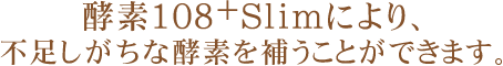 酵素108＋Slimにより不足しがちな酵素を補うことができます。